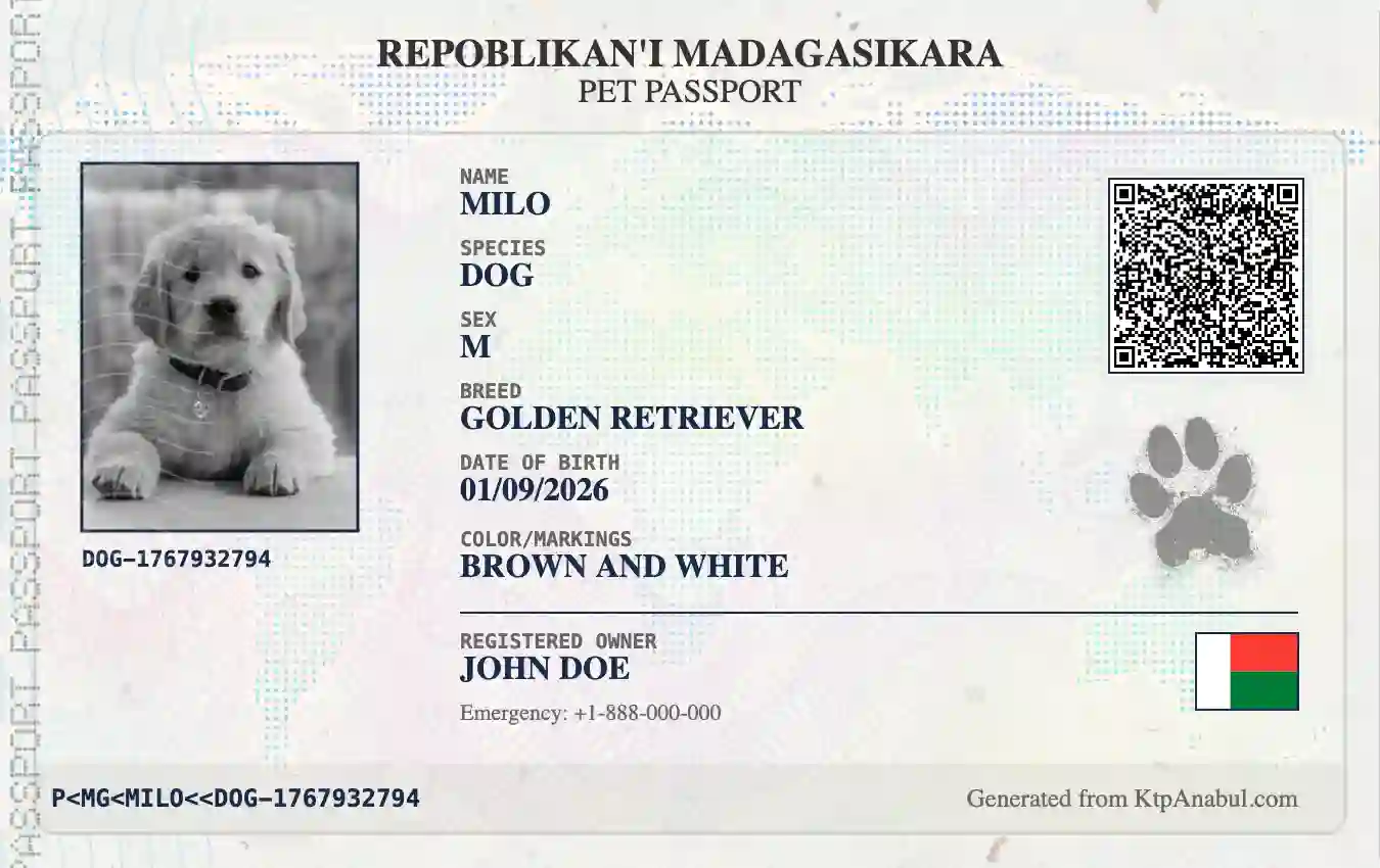 Travel Passport